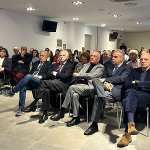 whatsapp image 2026-03-16 at 21.36.52